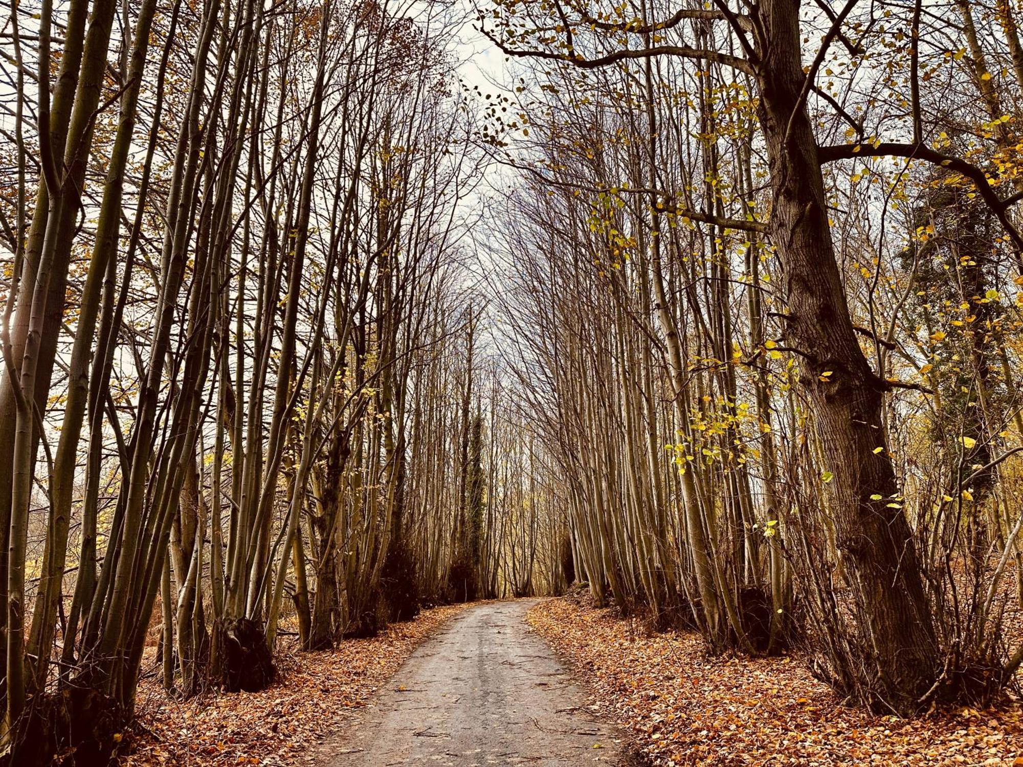 Chez Ana Daire Saxmundham Dış mekan fotoğraf